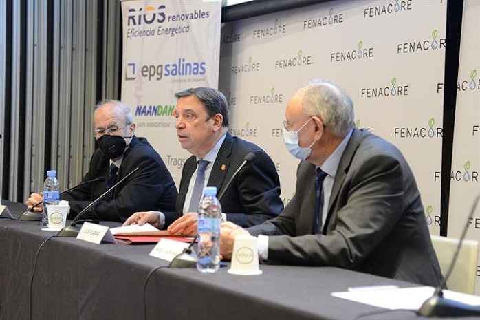 El ministro de Agricultura, Pesca y Alimentación, Luis Planas