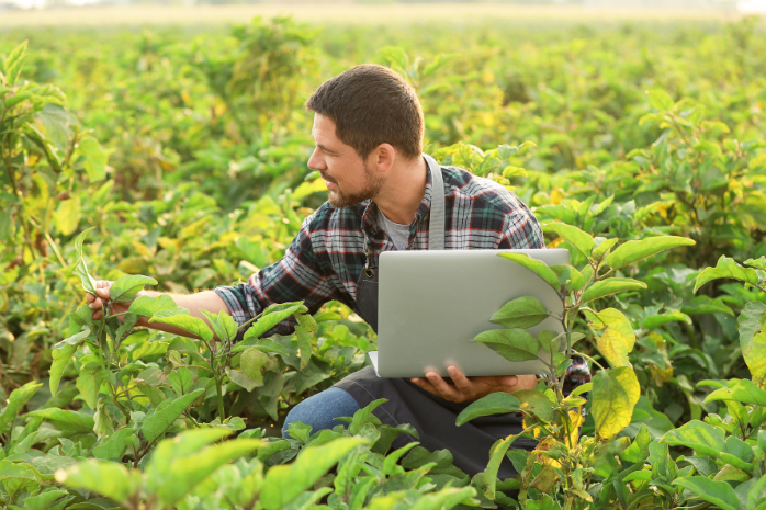 un agricultor con un ordenador en un cultivo