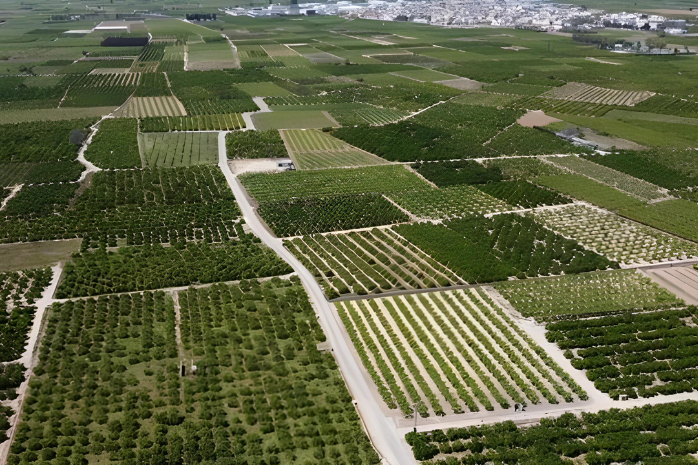 vista aérea de regadíos de la Acequia Real del Júcar (Valencia)