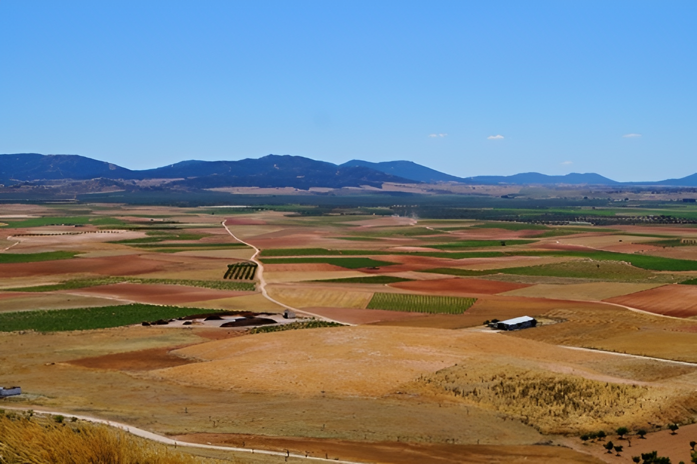 vista, aérea, campo, agrícola