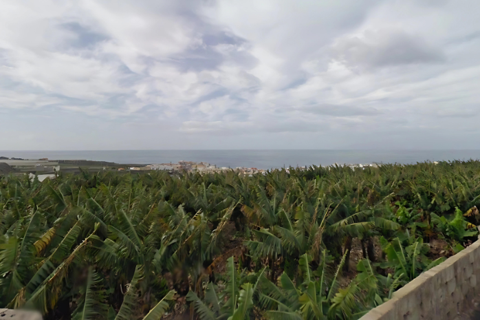 zona de cultivo en Tenerife