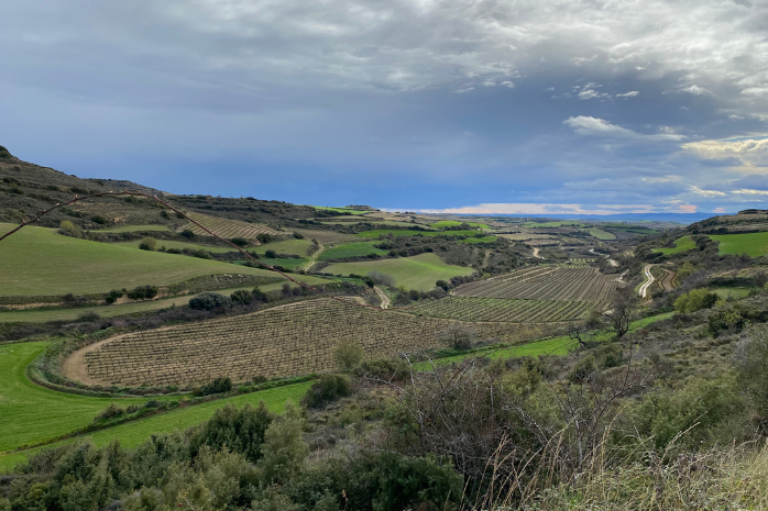 proyecto de mejora del regadío de la zona de Barriobusto, Labraza y Moreda (Álava)