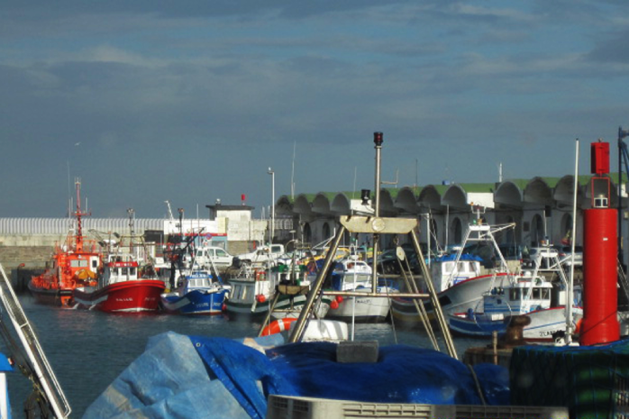 Barcos pesqueros atracados en el puerto