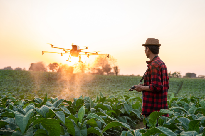 un agricultor en un cultivo con un dron