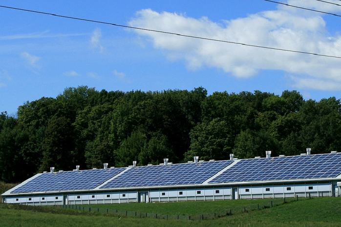 Granja con paneles solares