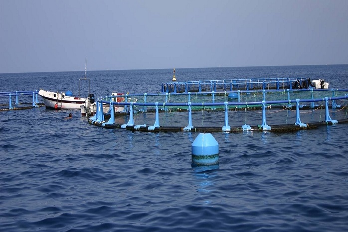 Redes de pesca en el mar