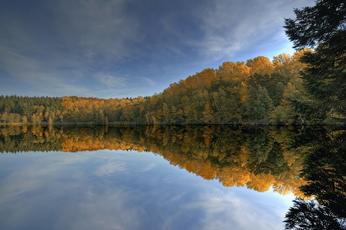 Paisaje de un río en otoño