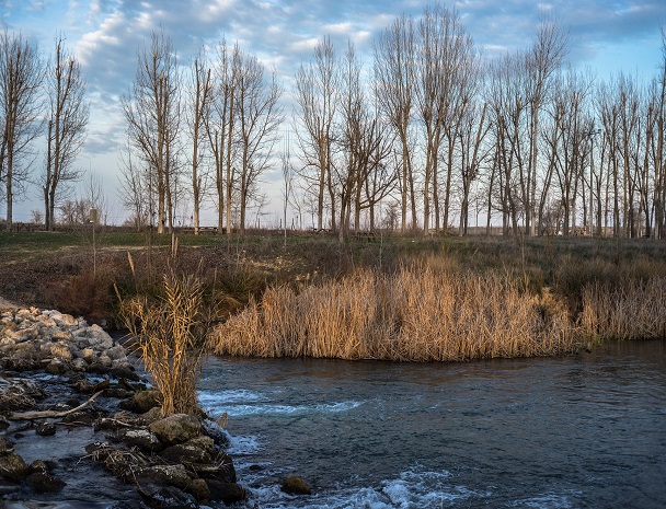 Rivera de un río