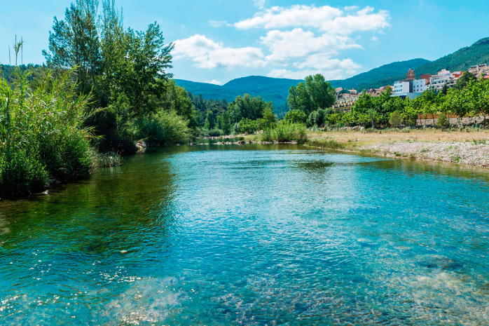 Cauce de un río